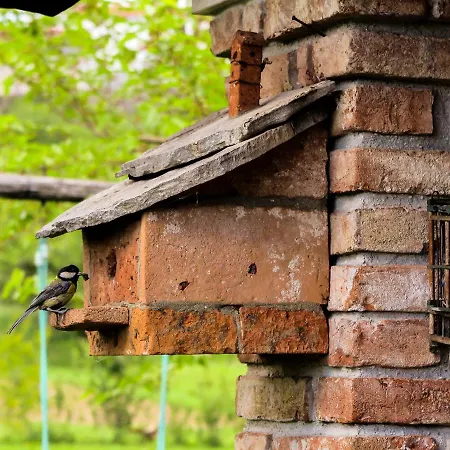 度假居 Maxi Sonce, Odprte Vasi