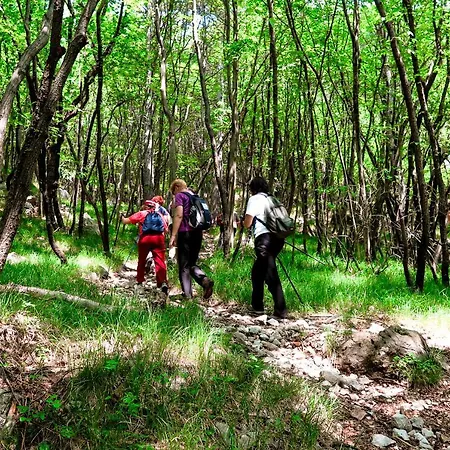 Maxi Sonce, Odprte Vasi Сasa de vacaciones