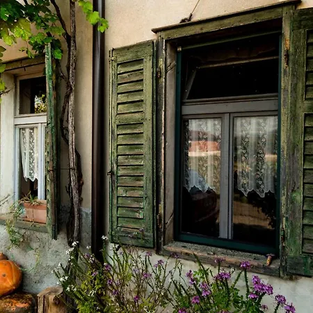 Maxi Sonce, Odprte Vasi Prvacina