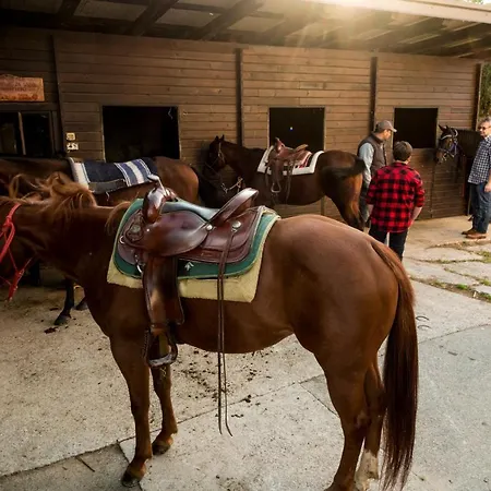 Maxi Sonce, Odprte Vasi Сasa de vacaciones *