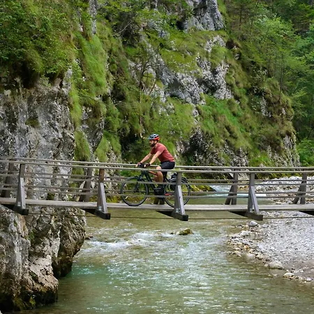 Maxi Sonce, Odprte Vasi Prvacina