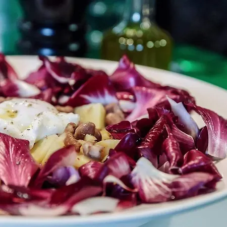 Maxi Sonce, Odprte Vasi Сasa de vacaciones