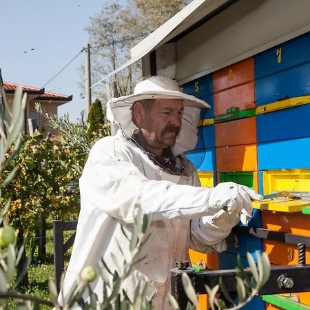 Сasa de vacaciones Maxi Sonce, Odprte Vasi Prvacina