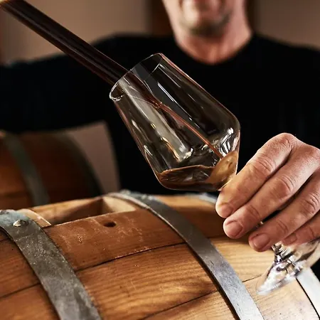 Maxi Sonce, Odprte Vasi Сasa de vacaciones