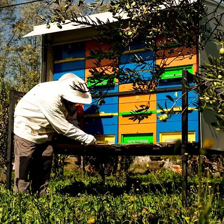 Сasa de vacaciones Maxi Sonce, Odprte Vasi