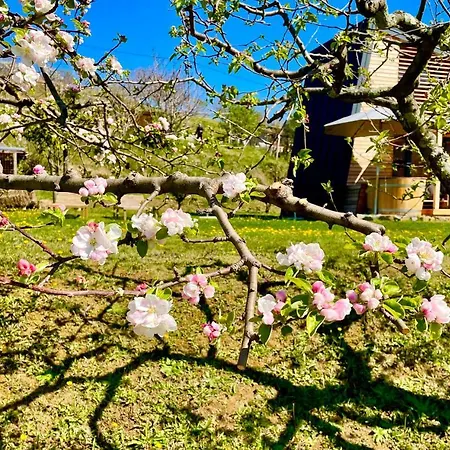 Maxi Sonce, Odprte Vasi Сasa de vacaciones *