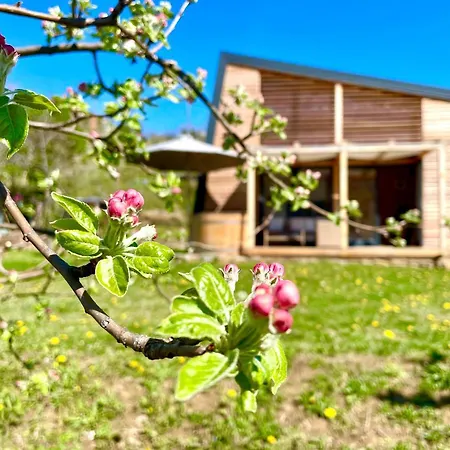 Maxi Sonce, Odprte Vasi Сasa de vacaciones Prvacina