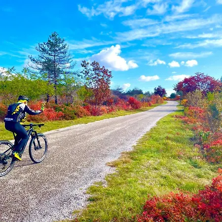 Maxi Sonce, Odprte Vasi Prvacina