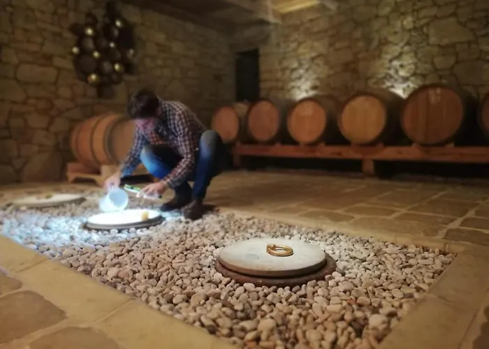 Maxi Sonce, Odprte Vasi Vakantiehuis