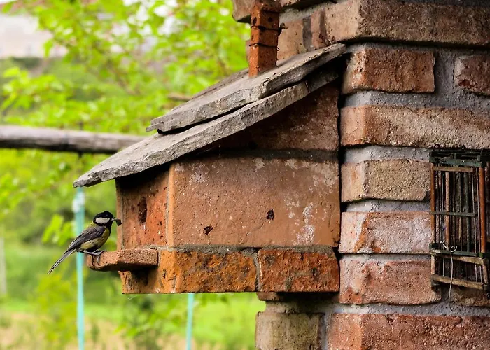 Casa vacanze Maxi Sonce, Odprte Vasi