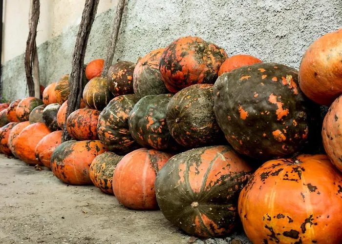 Maxi Sonce, Odprte Vasi Casa vacanze