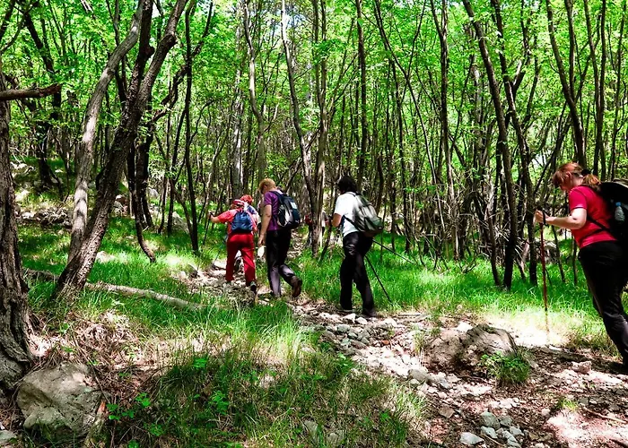 Maxi Sonce, Odprte Vasi Casa vacanze