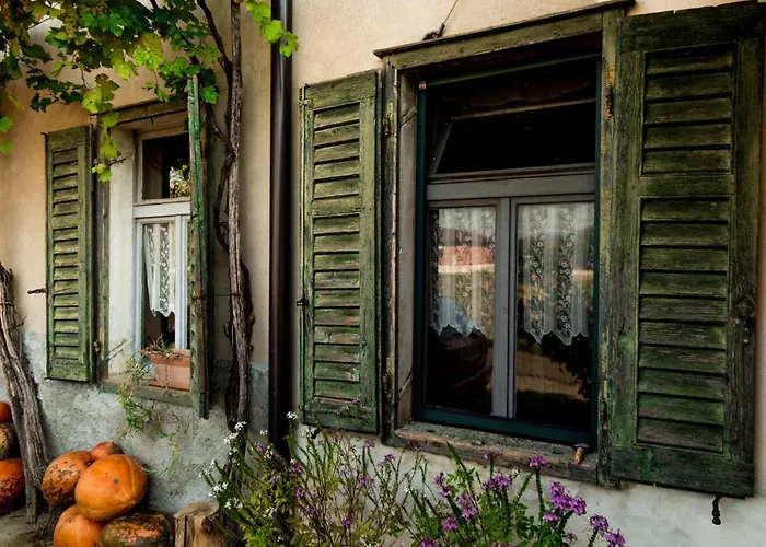 Maxi Sonce, Odprte Vasi Prvacina