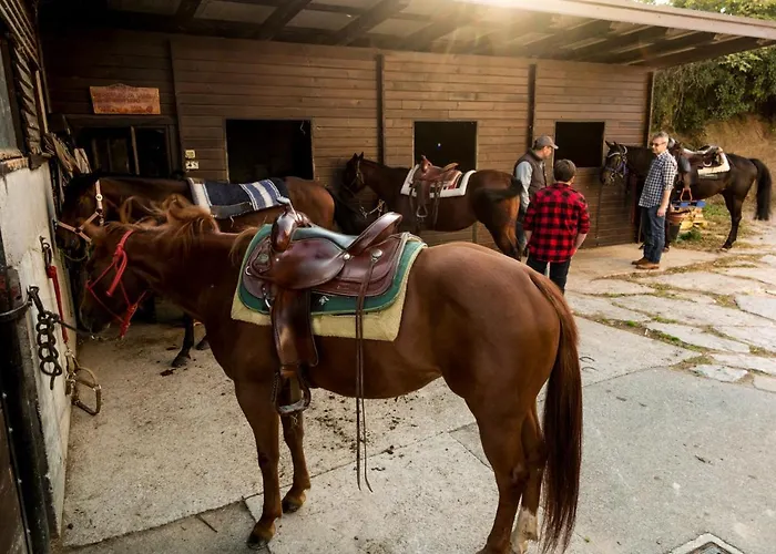 Maxi Sonce, Odprte Vasi Vakantiehuis *