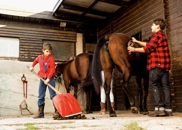 Maxi Sonce, Odprte Vasi Prvacina