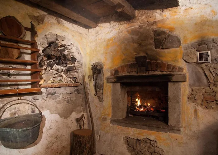 Maxi Sonce, Odprte Vasi *