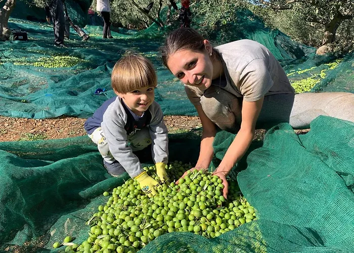 Maxi Sonce, Odprte Vasi בית נופש