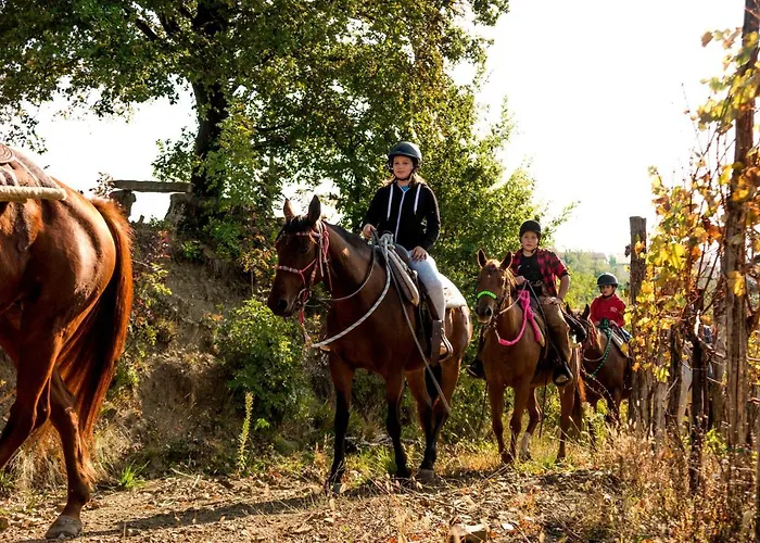 Casa vacanze Maxi Sonce, Odprte Vasi Prvacina