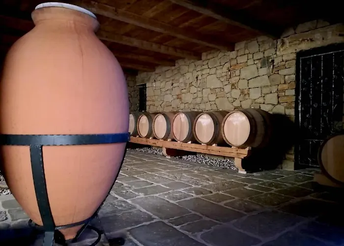 Maxi Sonce, Odprte Vasi * Prvacina