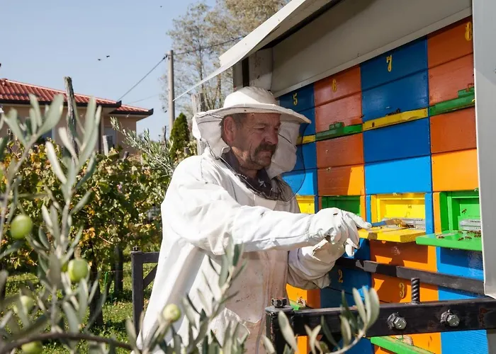 Casa vacanze Maxi Sonce, Odprte Vasi Prvacina