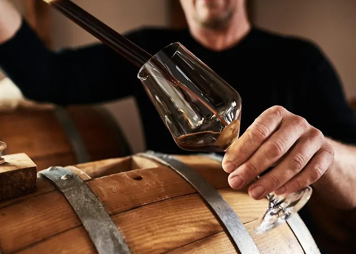 Maxi Sonce, Odprte Vasi Casa vacanze