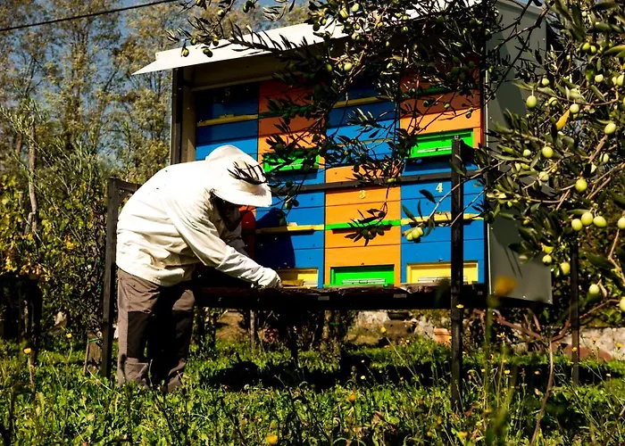 Vakantiehuis Maxi Sonce, Odprte Vasi