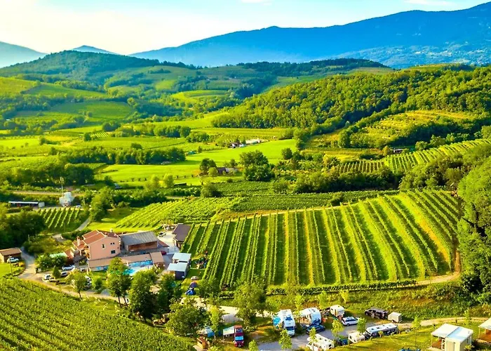 Maxi Sonce, Odprte Vasi *