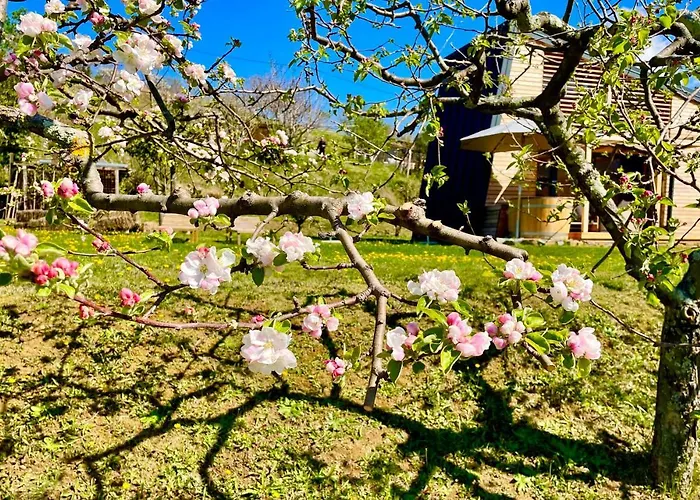 Maxi Sonce, Odprte Vasi Casa vacanze *