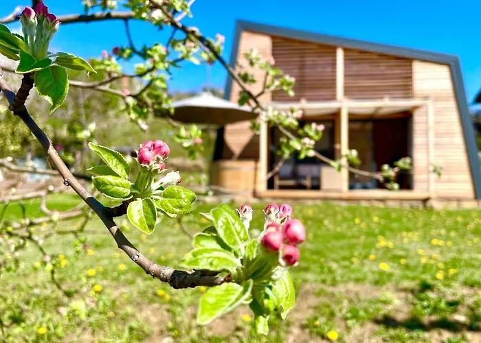 Maxi Sonce, Odprte Vasi Casa vacanze Prvacina