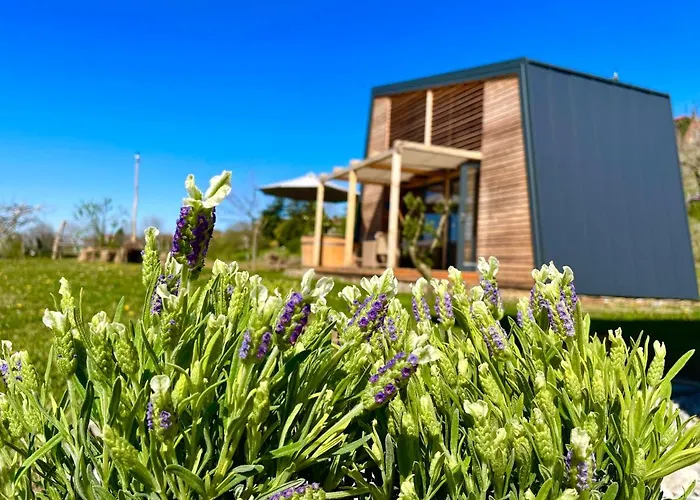 Maxi Sonce, Odprte Vasi * Prvacina