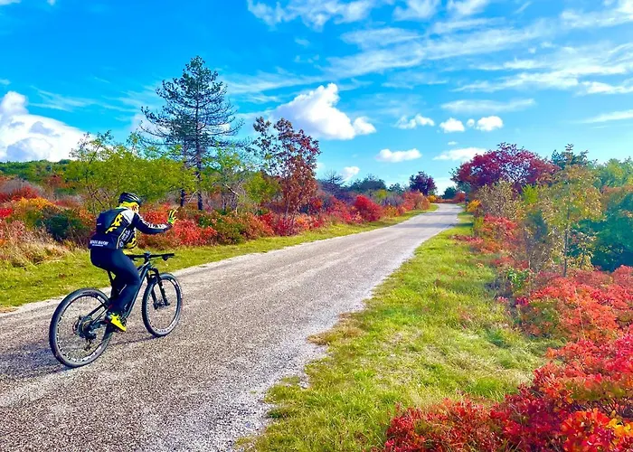 Maxi Sonce, Odprte Vasi Prvacina